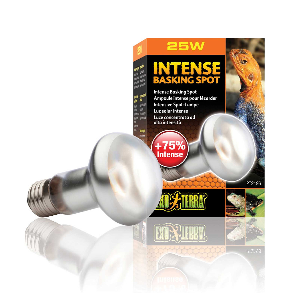 Exo Terra Intense Basking Spot 25W Punktowa Żarówka do Terrarium